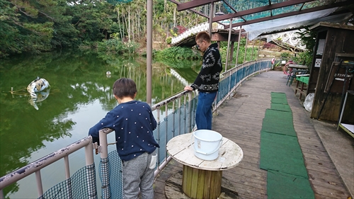 10日・東南植物楽園の光の散歩道！